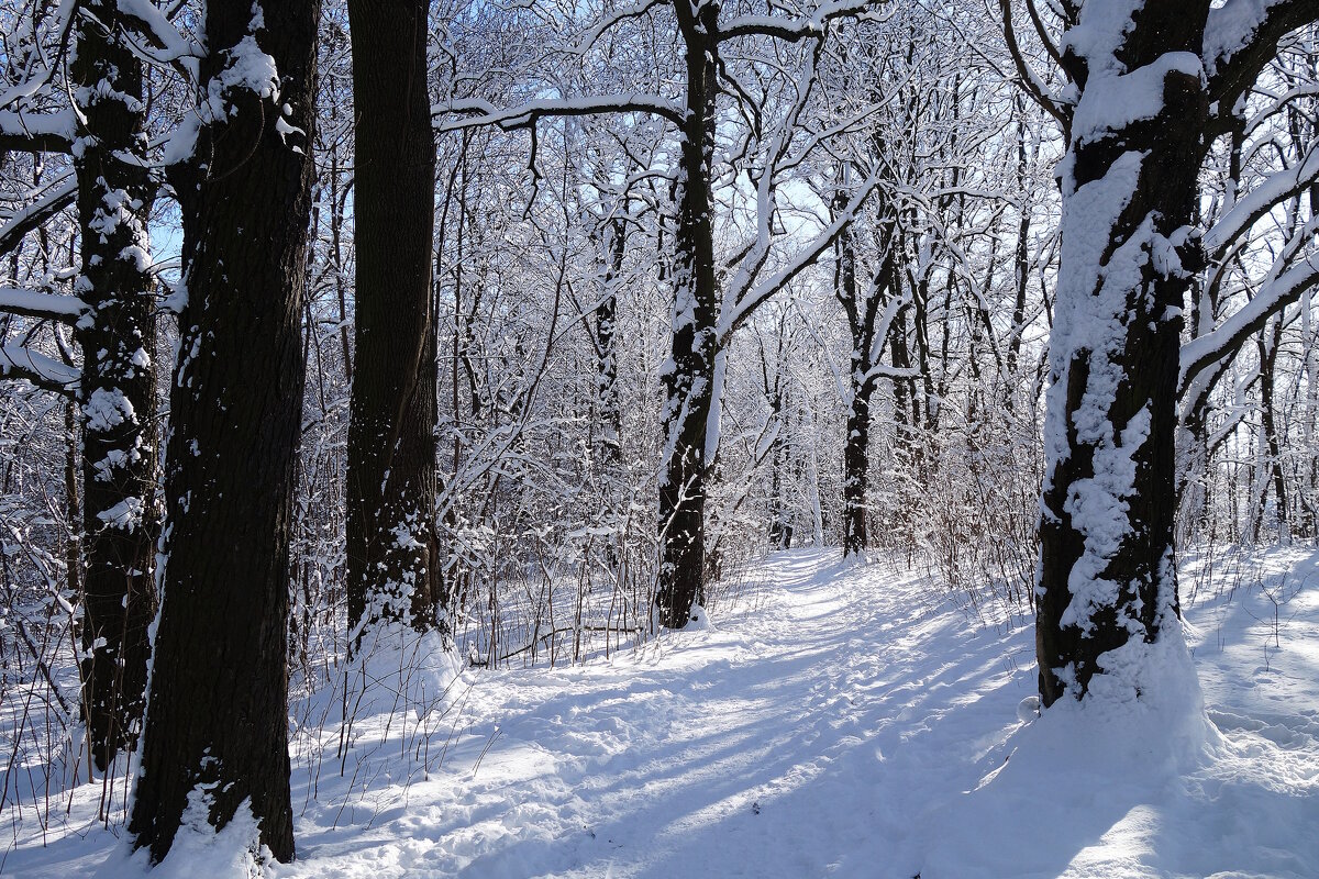 Февраль - Рита Симонова Февраль - Рита Симонова