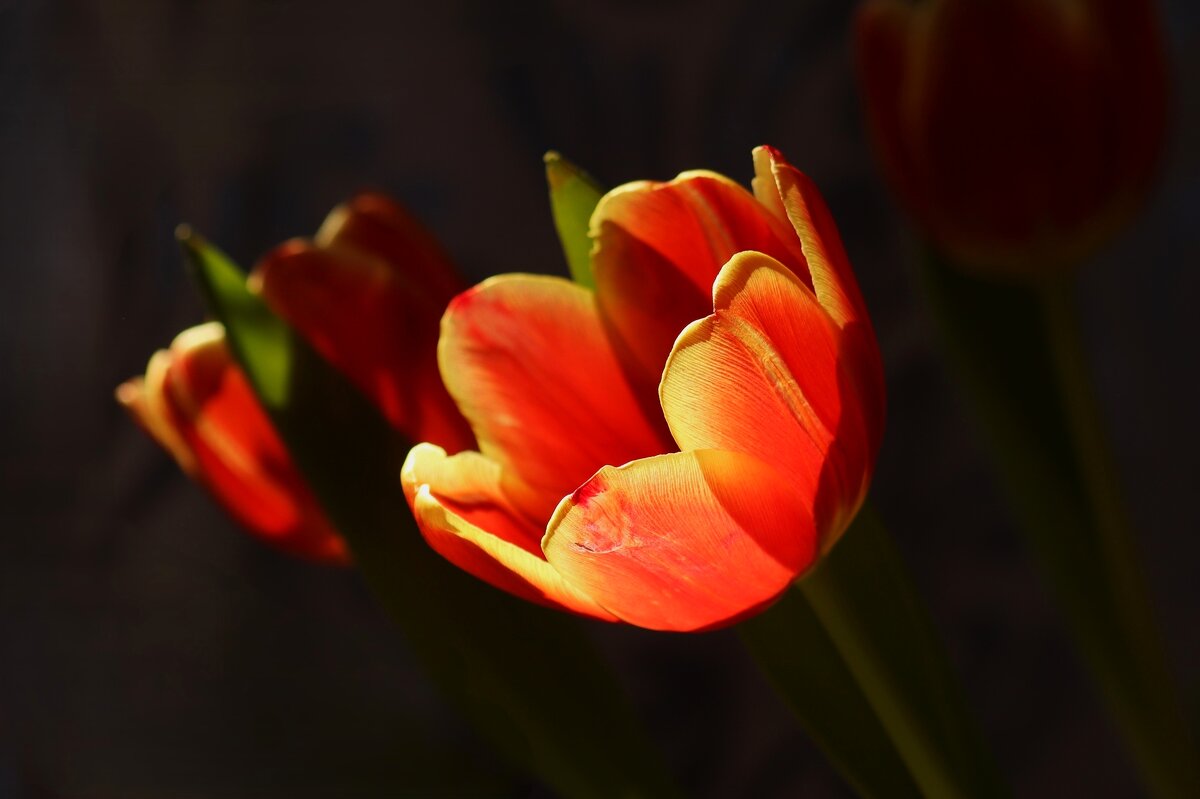 Доброе утро - Юрий. Шмаков Доброе утро - Юрий. Шмаков