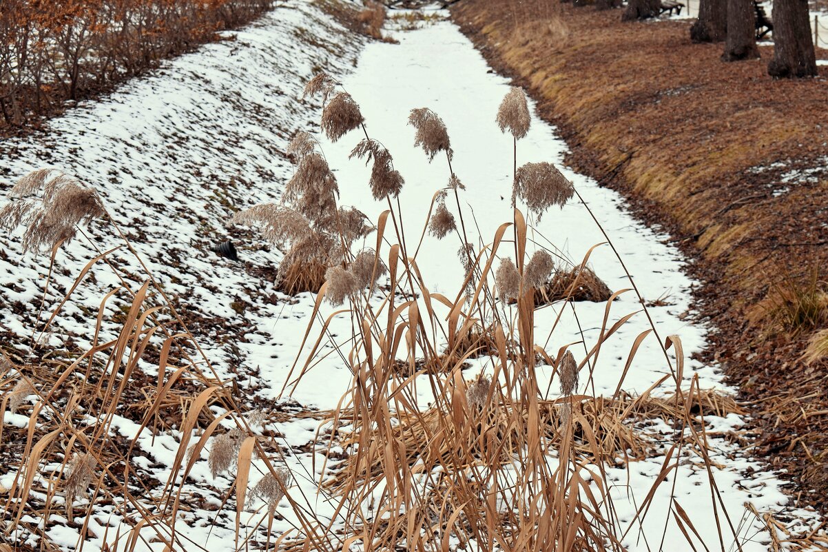 Скоро всё оживёт. - Татьяна Помогалова Скоро всё оживёт. - Татьяна Помогалова