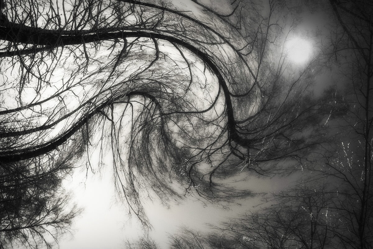 ---the world turned upside down--- - AL Reborn 