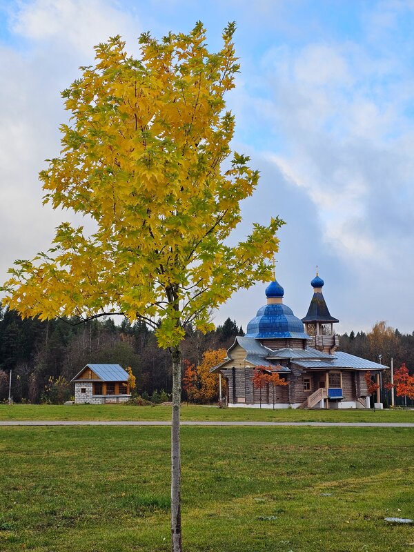 Бокситогорск - Юлия Голикова