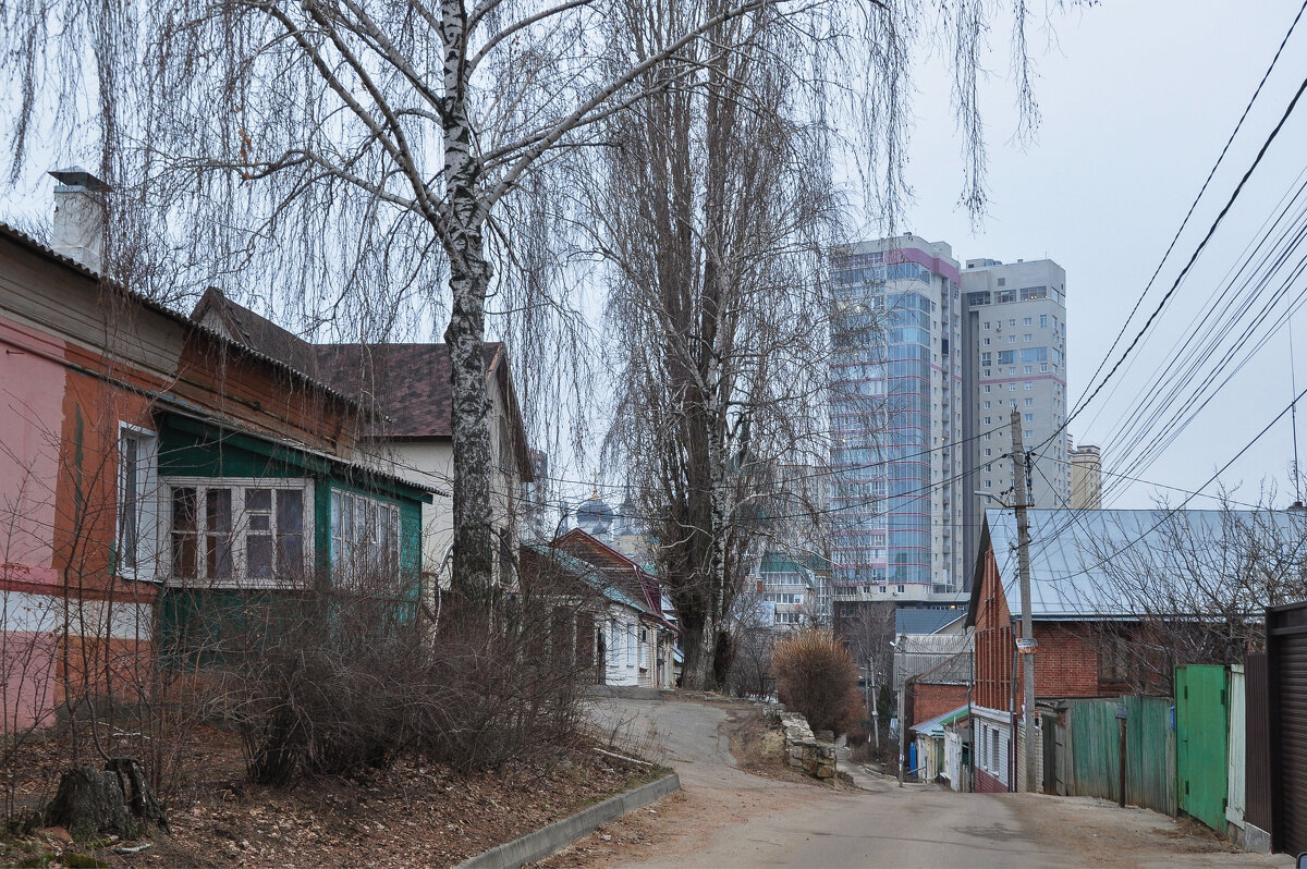 Такая была удивительная зима - Татьяна Машошина Такая была удивительная зима - Татьяна Машошина