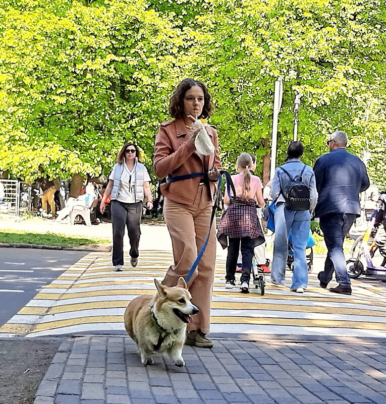 *** - Владимир Захаров