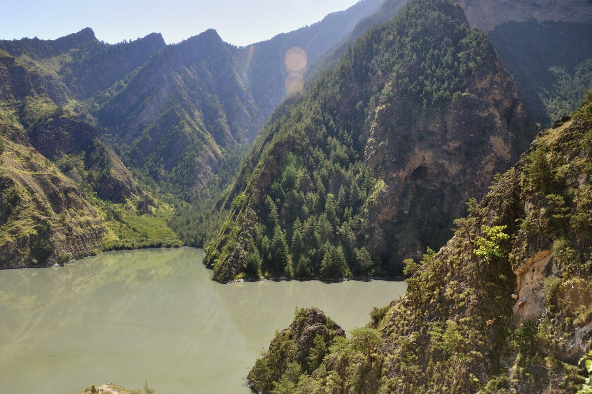 *** - Марина Виноградова