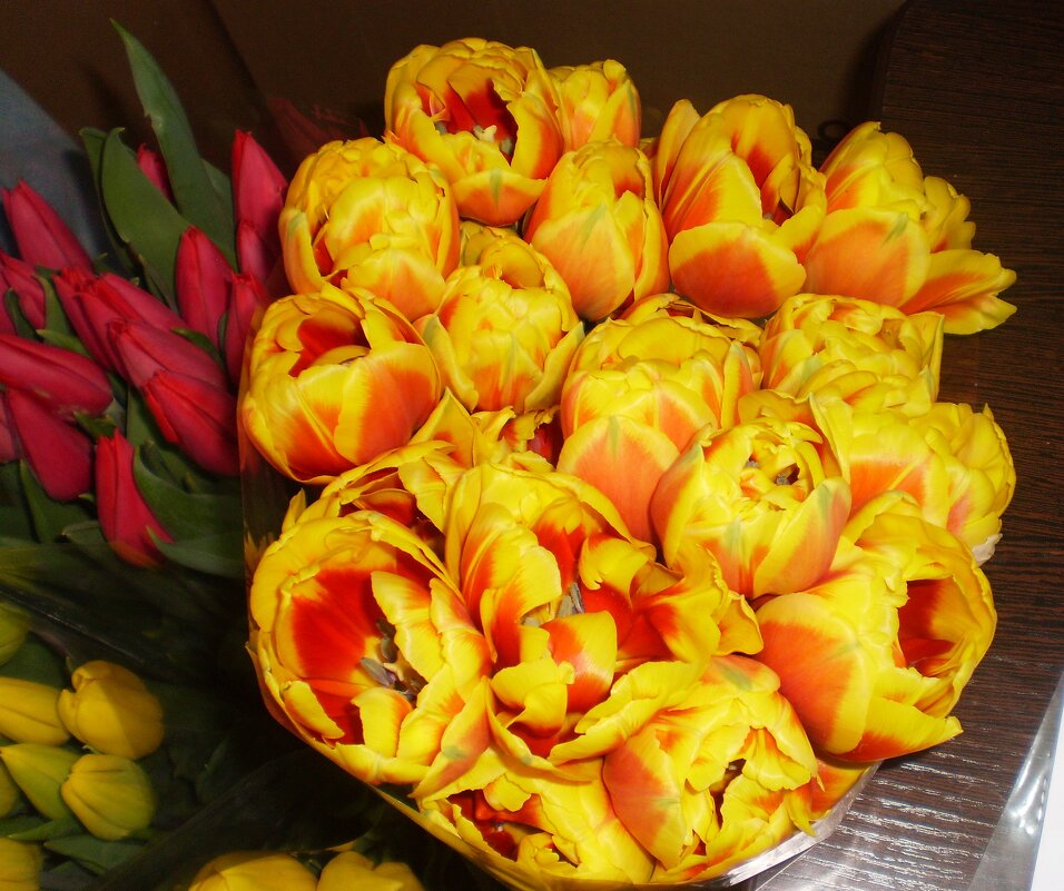 Март. - Венера Чуйкова Март. - Венера Чуйкова