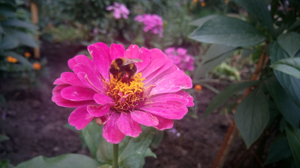 ,,, - Сергей Тимоновский