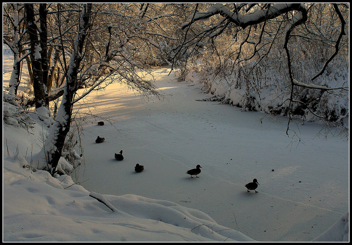 ..пойдем искать воду... - Aleksandr Gal