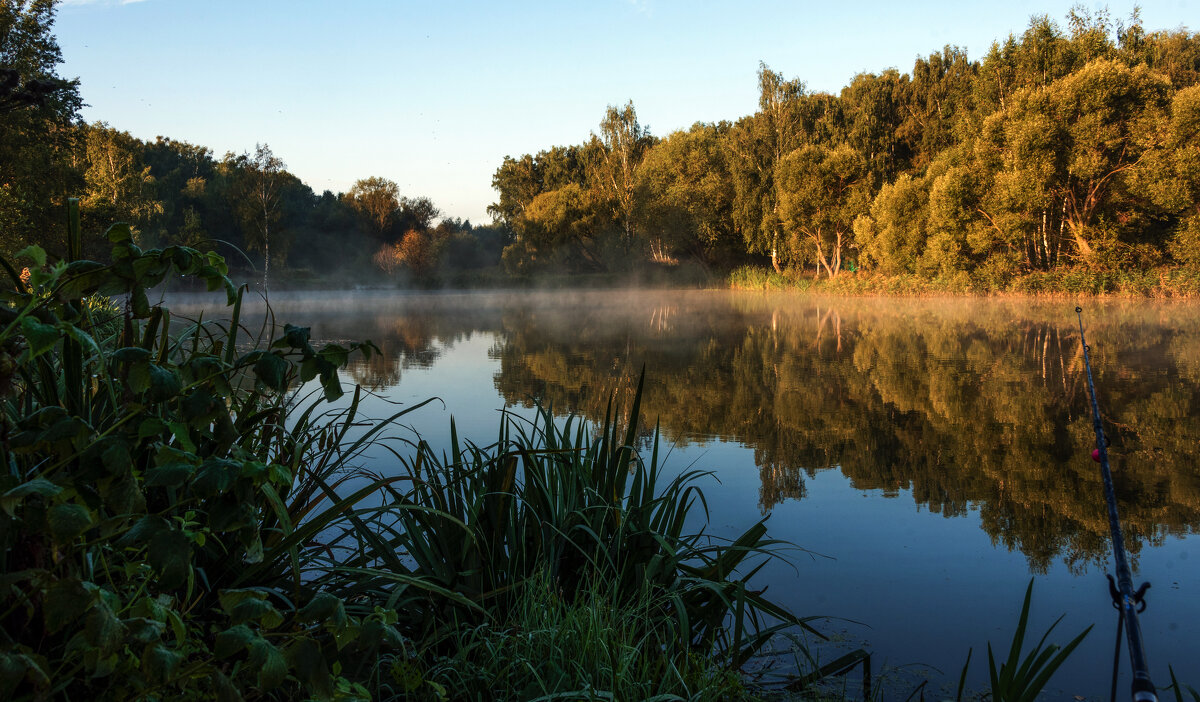 *** - Владимир Безбородов *** - Владимир Безбородов