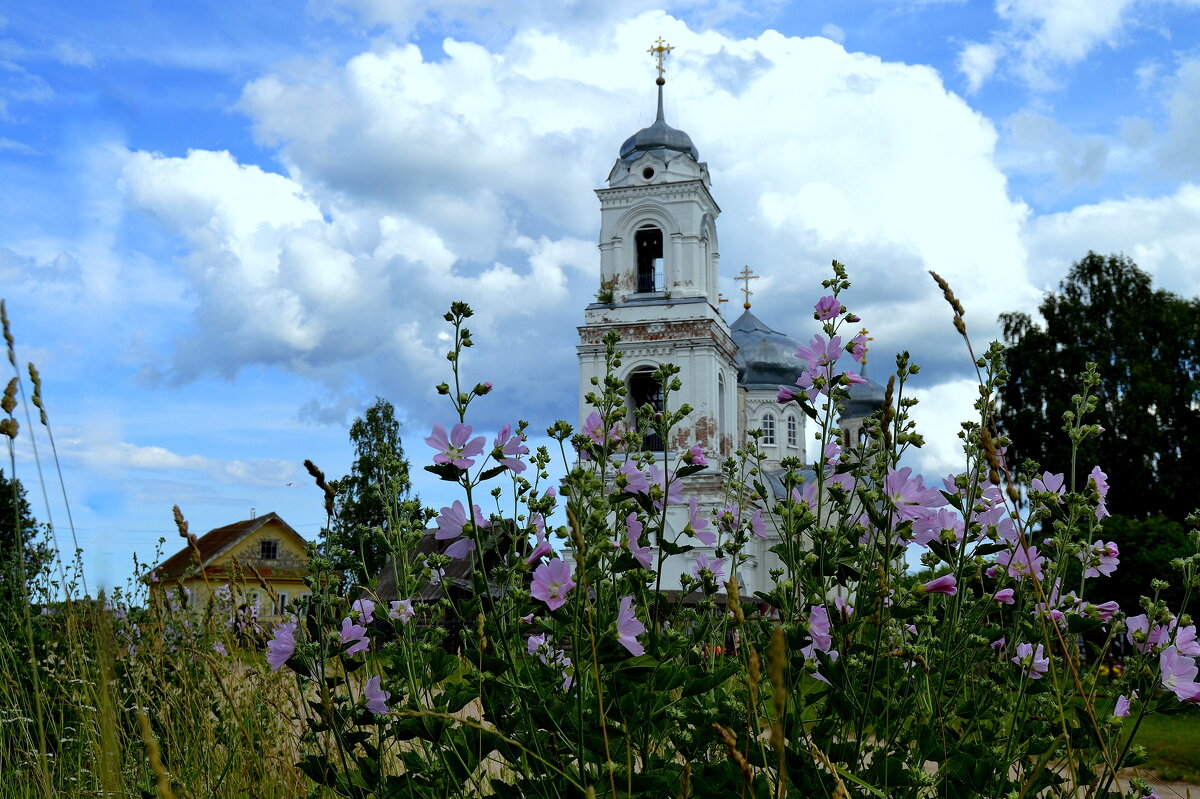 """"""""" - Татьяна Касьяненко