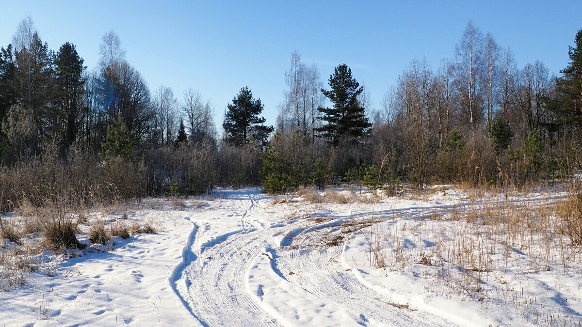 Природа в конце зимы. - Милешкин Владимир Алексеевич 