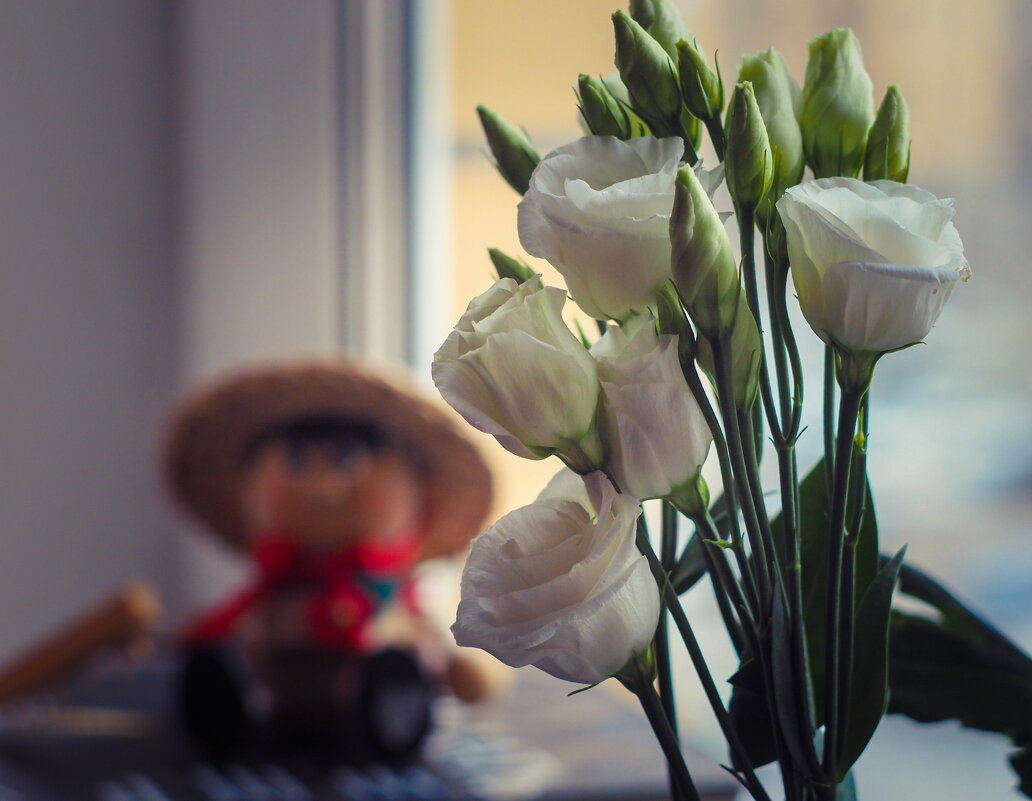 В ожидании Весны - Магомед . В ожидании Весны - Магомед .