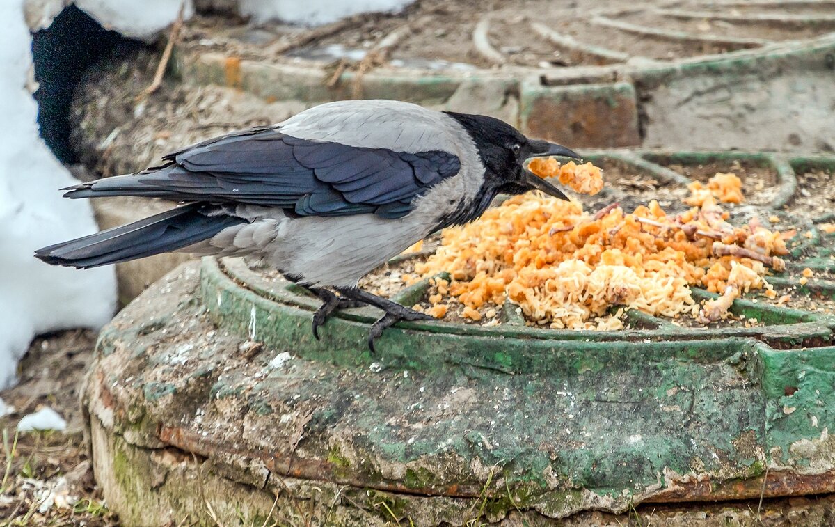 Не подавись! - Валерий Иванович Не подавись! - Валерий Иванович