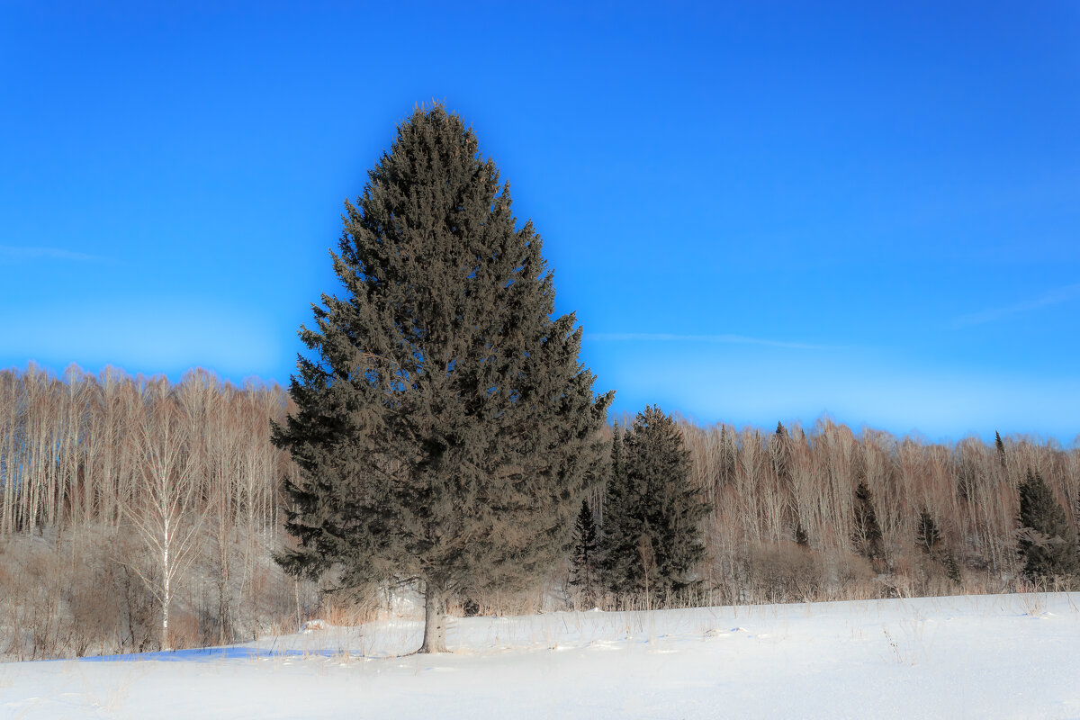 В марте - Сергей Борисович 