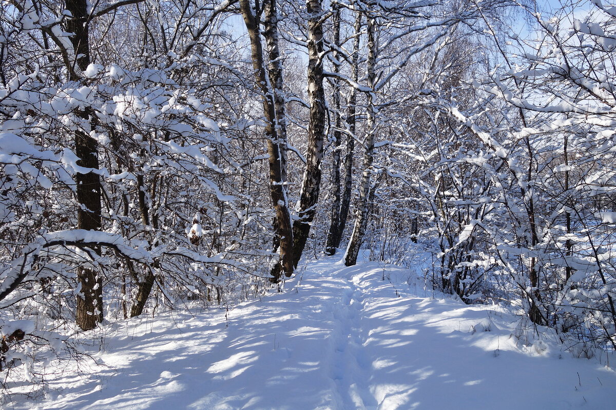 В окрестностях Калининграда - Рита Симонова