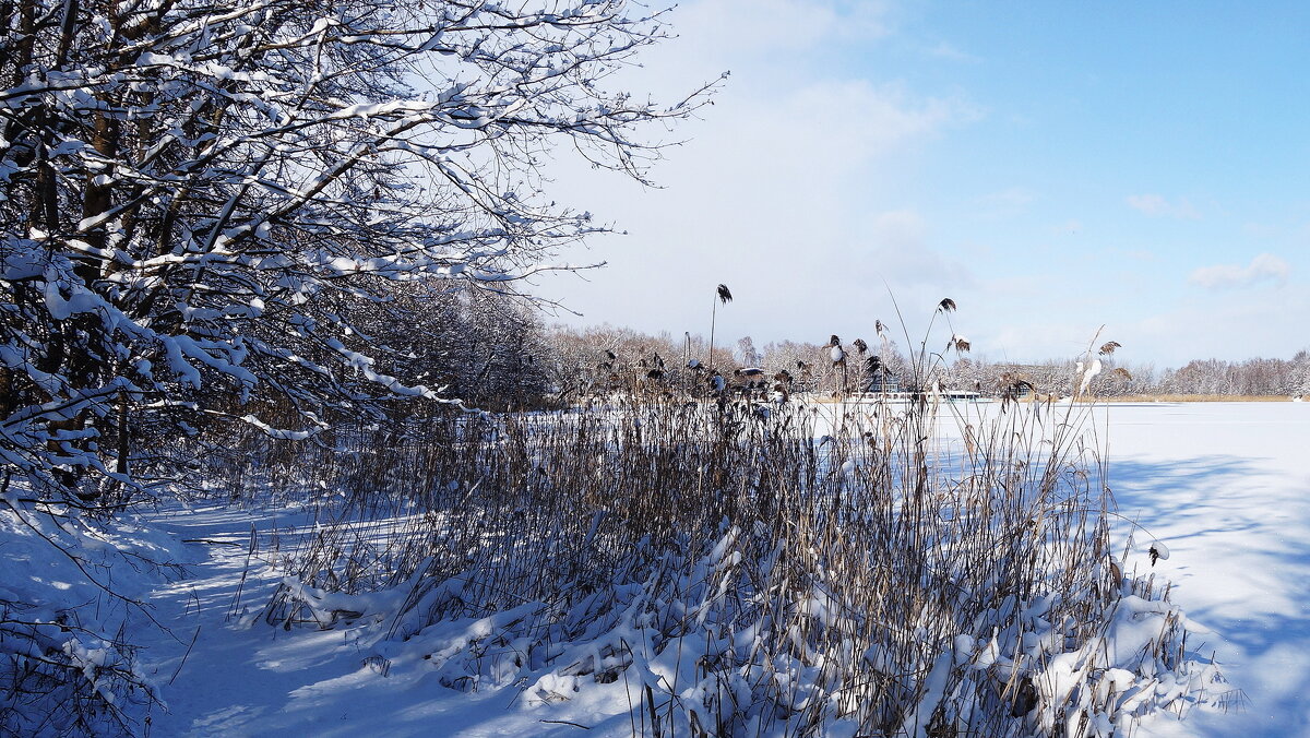 В окрестностях Калининграда - Рита Симонова