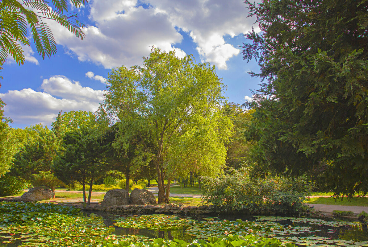Август 2019 года - Валентин Семчишин Август 2019 года - Валентин Семчишин