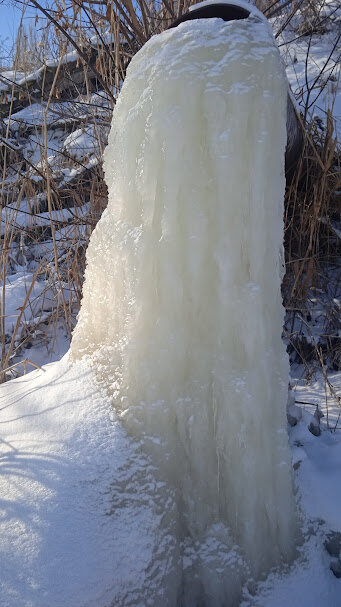 февраль - Елена Шаламова