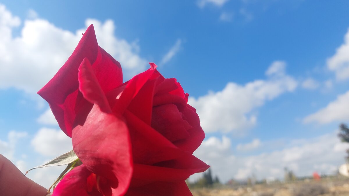 12  КЛОС (670) - CLOSE WAYS ALL