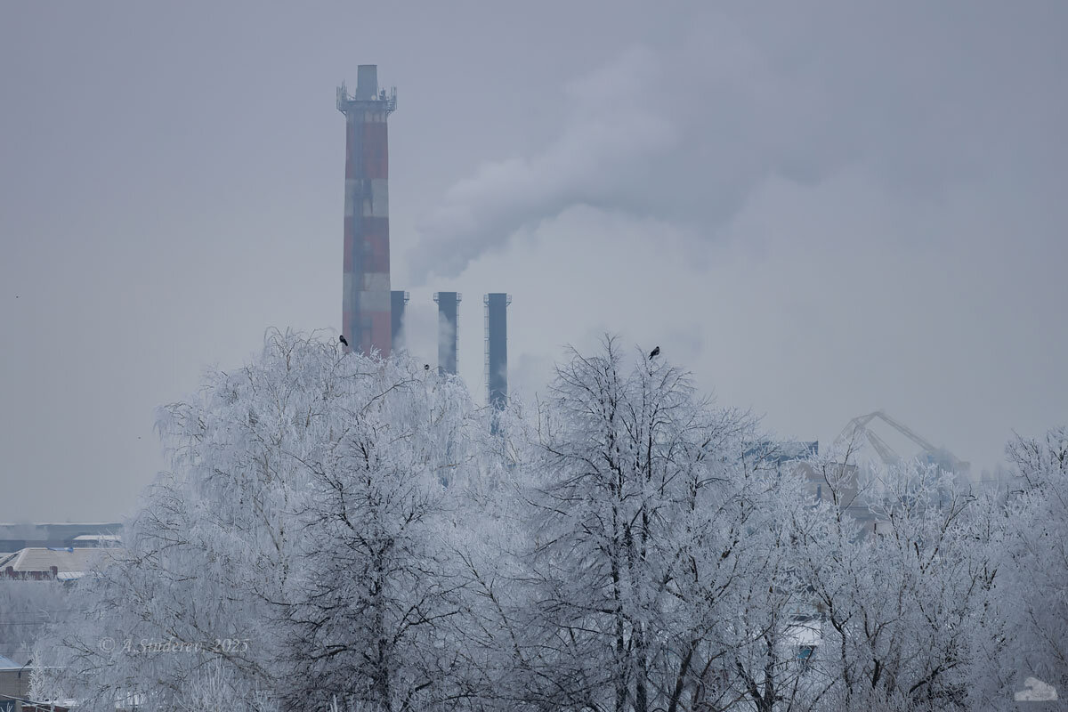Трубы и вороны - Александр Синдерёв