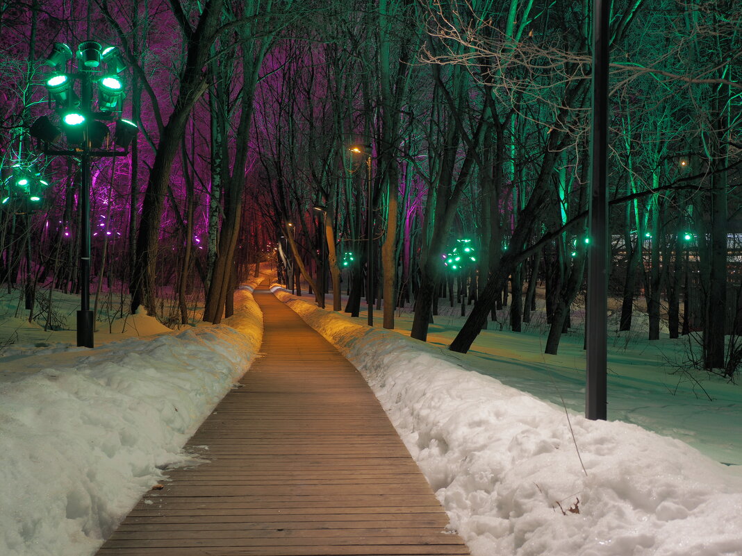 Из прогулки по Воробьёвым горам в Москве. - Евгений Седов Из прогулки по Воробьёвым горам в Москве. - Евгений Седов