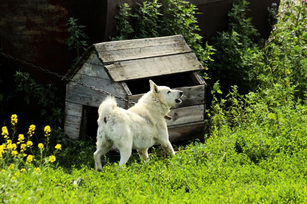 У меня украли крышу... - Юрий. Шмаков У меня украли крышу... - Юрий. Шмаков