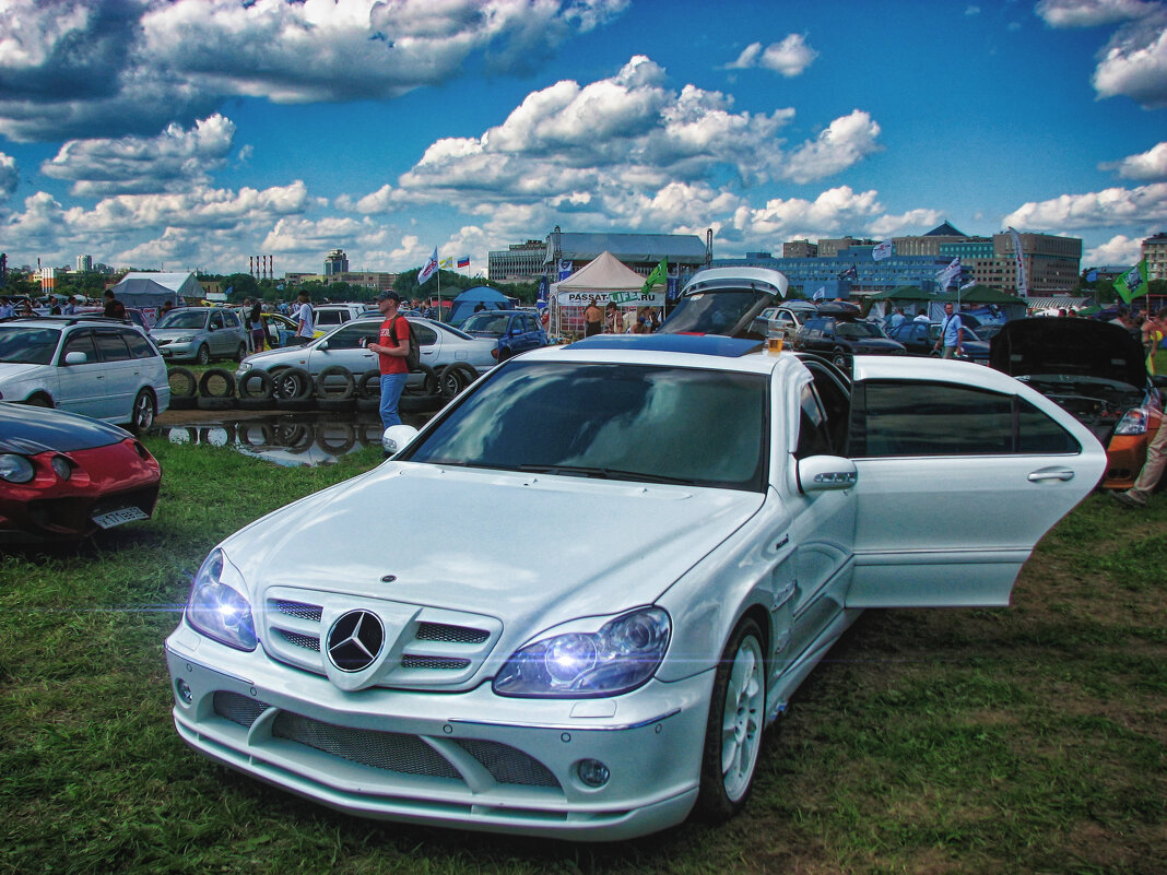 Белый мерен в поле - Джованни Луче Белый мерен в поле - Джованни Луче