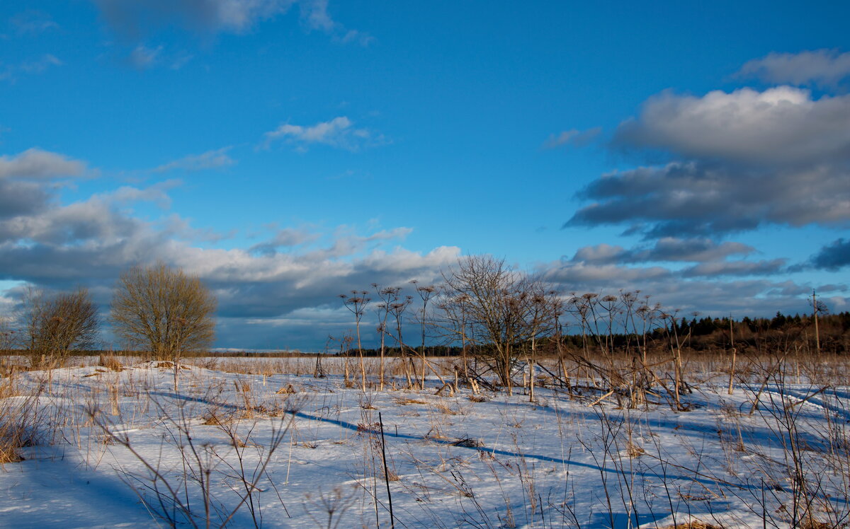 Начало марта - lady v.ekaterina