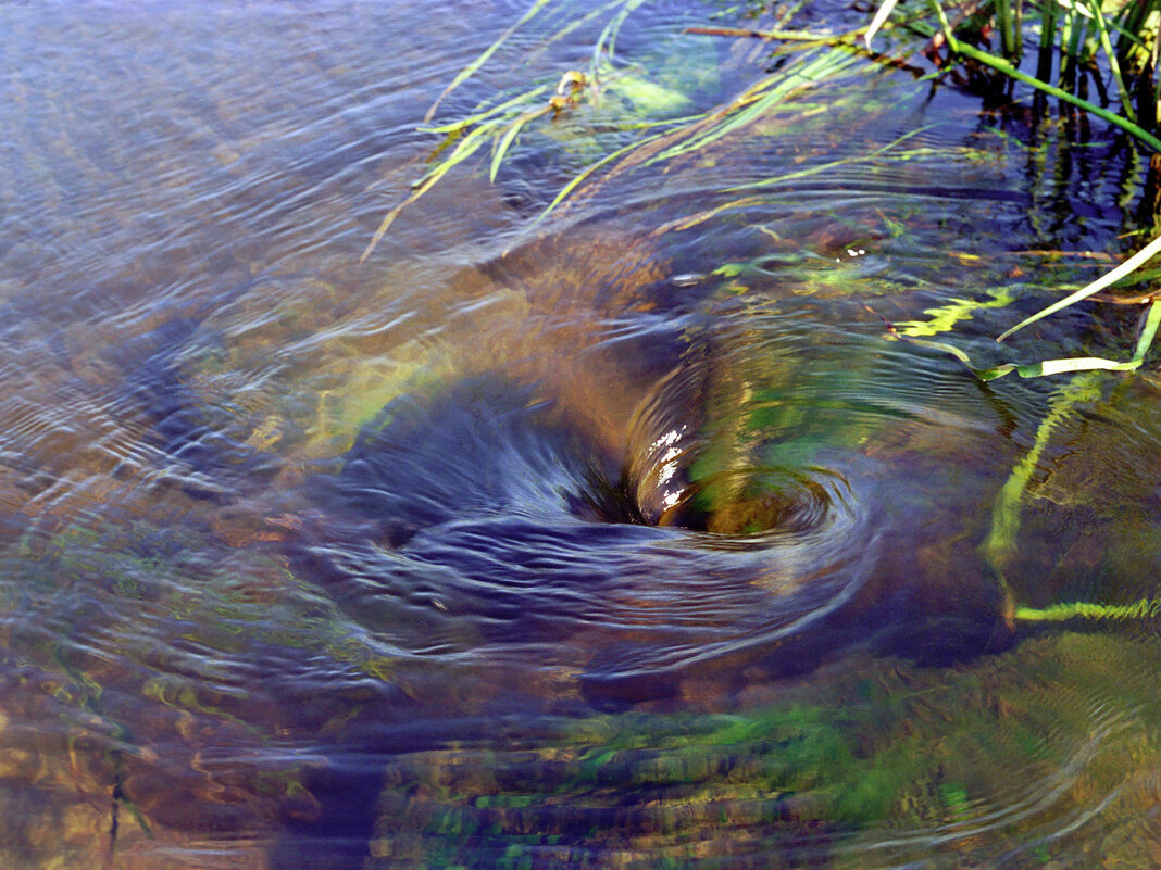 Голубая галактика - Игорь Шевердин Голубая галактика - Игорь Шевердин