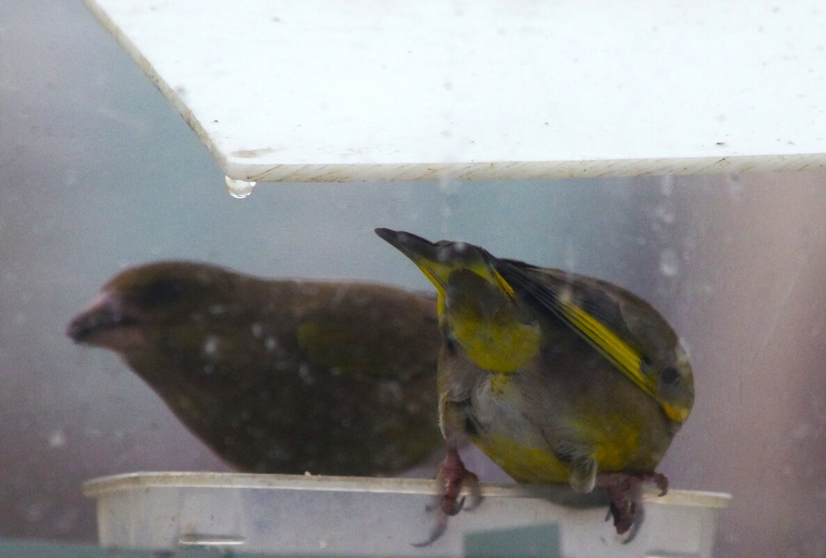 Не до меня :) - Юрий Куликов