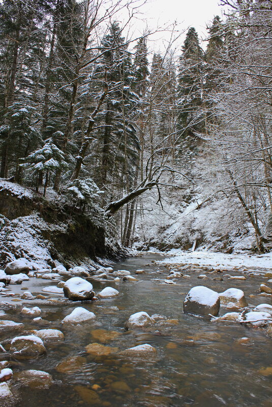 горная Адыгея - 35 - Анатолий Стрельченко горная Адыгея - 35 - Анатолий Стрельченко