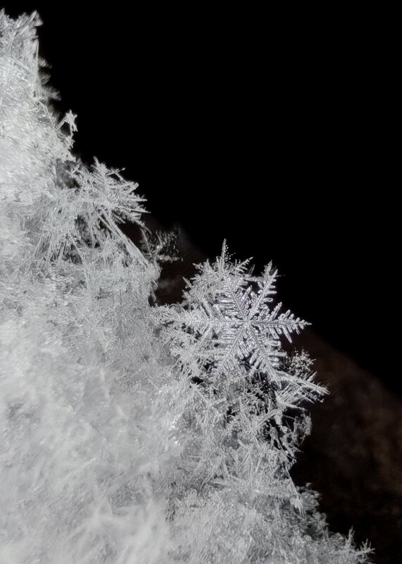 Снежинка - Regina 