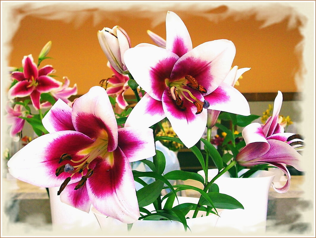 Девчата, подруги мои, а также и все женщины, поздравляю всех вас с наступающим 8 марта! - Лия ☼ Девчата, подруги мои, а также и все женщины, поздравляю всех вас с наступающим 8 марта! - Лия ☼