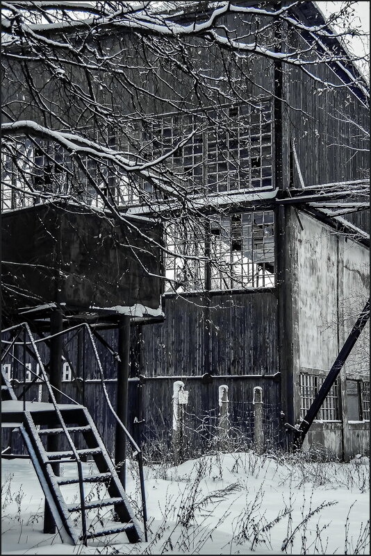 Монино - Наталья Rosenwasser