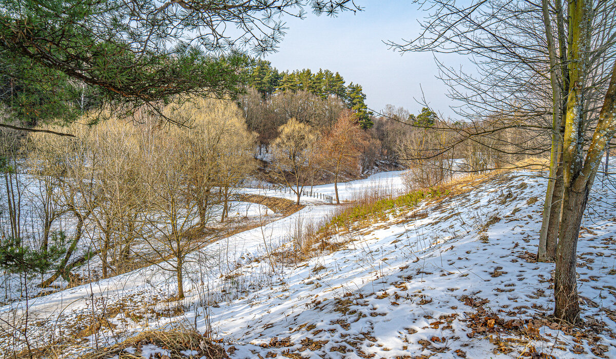 Мещерский парк в Сколково - Владимир Езеров Мещерский парк в Сколково - Владимир Езеров