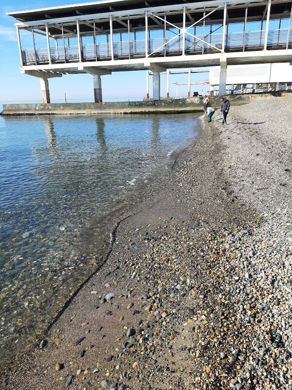 Санаторий - Tata Wolf