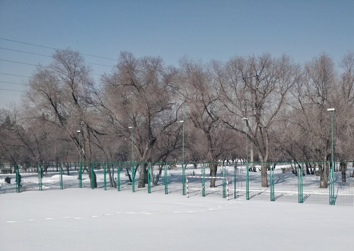 Снег. - Андрей Хлопонин