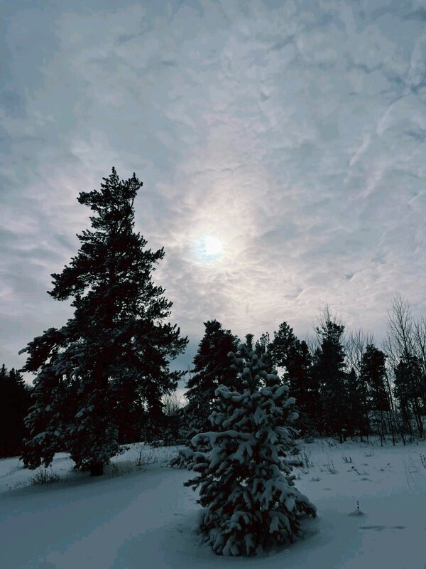 Зимнее Солнце - Георгиевич 