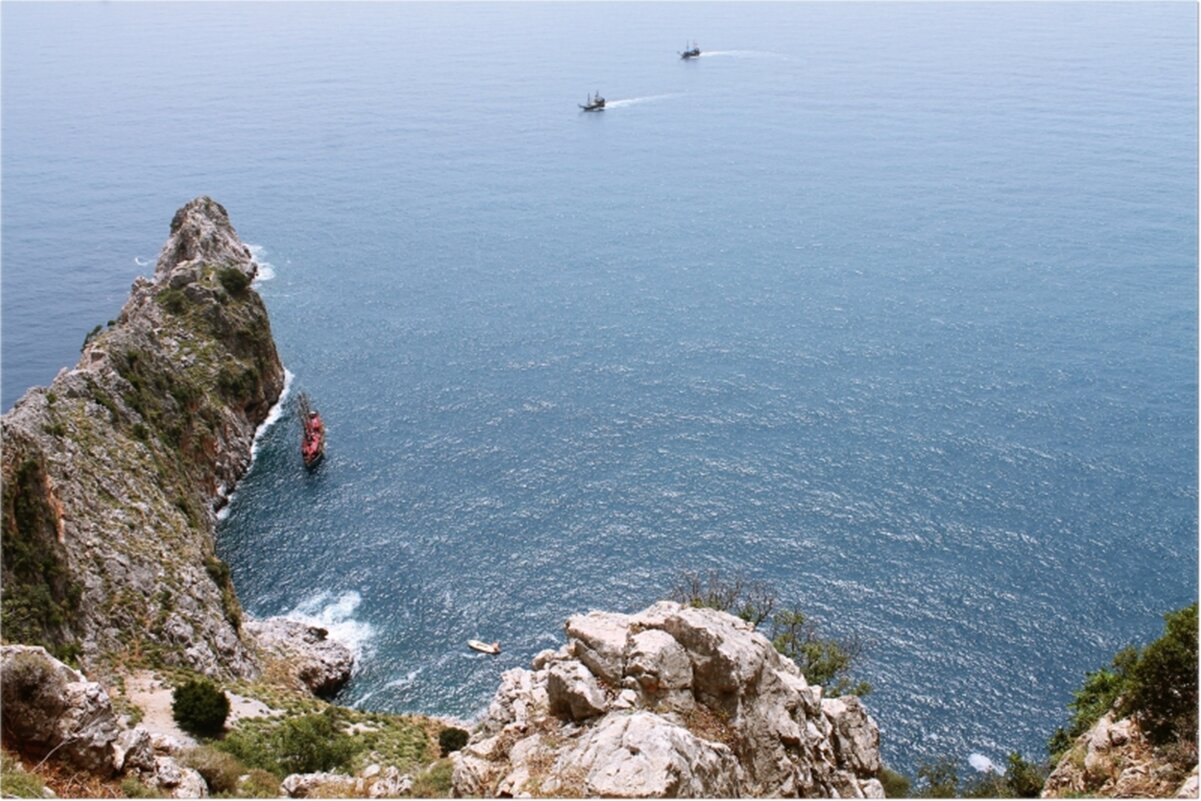 природа.Аланья. - марта Камушкина природа.Аланья. - марта Камушкина