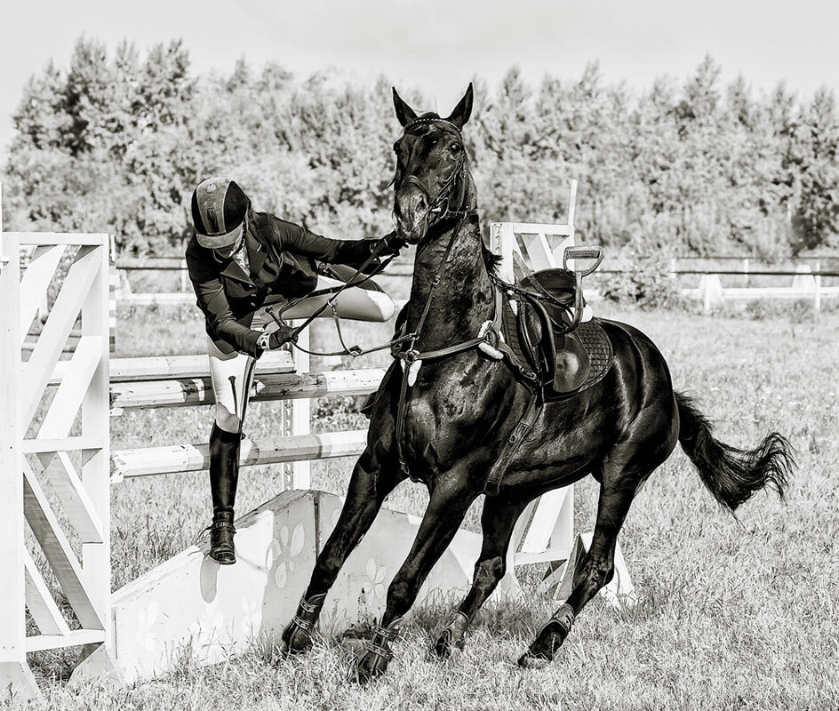 Конкур закидка - SanSan 