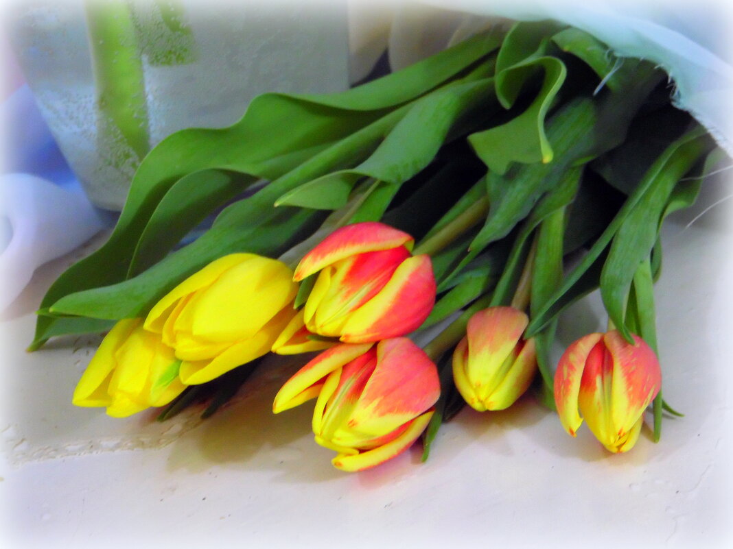Тюльпанчиков букет. - nadyasilyuk Вознюк Тюльпанчиков букет. - nadyasilyuk Вознюк