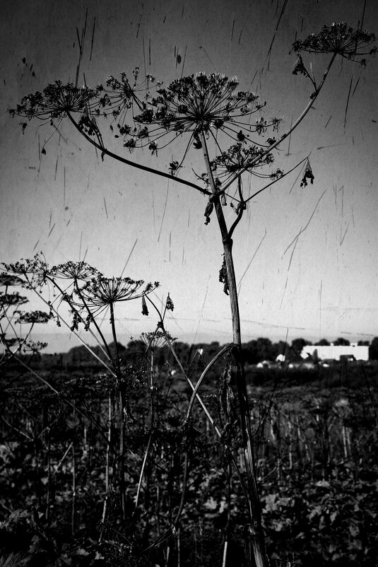 Название отсутствует - Денис Безногов Название отсутствует - Денис Безногов