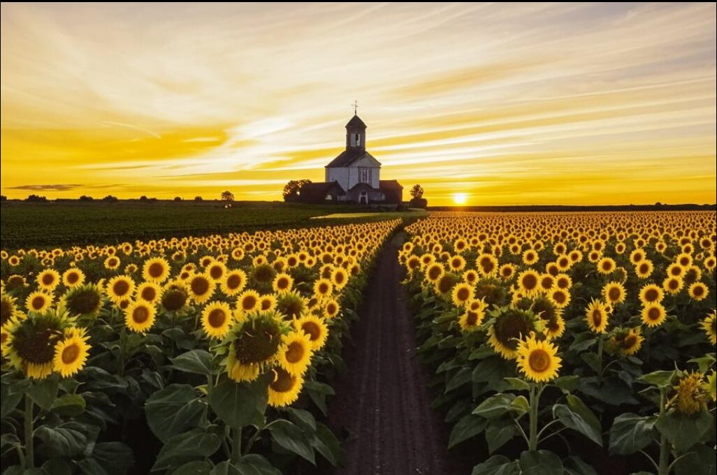 Путешествуя с ИИ - Роман Савоцкий