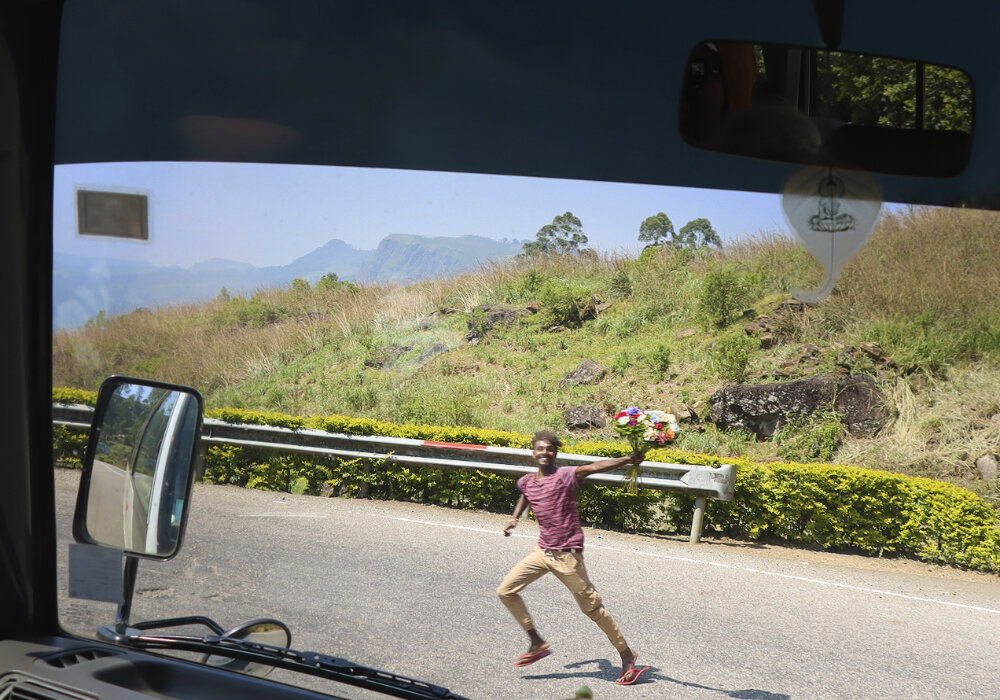 Темпераментные ланкийцы... - Галина Ильясова Темпераментные ланкийцы... - Галина Ильясова