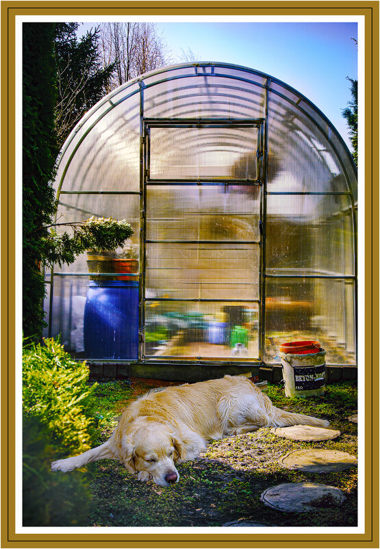 Сторож - Владимир Кроливец