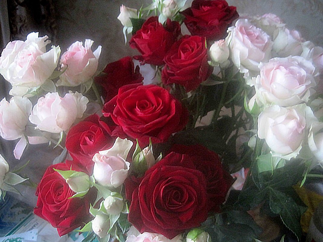 С НАСТУПАЮЩИМ ПРАЗДНИКОМ 8 МАРТА! СЧАСТЬЯ,ЗДОРОВЬЯ,ДОБРА,МИЛЫЕ ЖЕНЩИНЫ! - Елена Семигина С НАСТУПАЮЩИМ ПРАЗДНИКОМ 8 МАРТА! СЧАСТЬЯ,ЗДОРОВЬЯ,ДОБРА,МИЛЫЕ ЖЕНЩИНЫ! - Елена Семигина