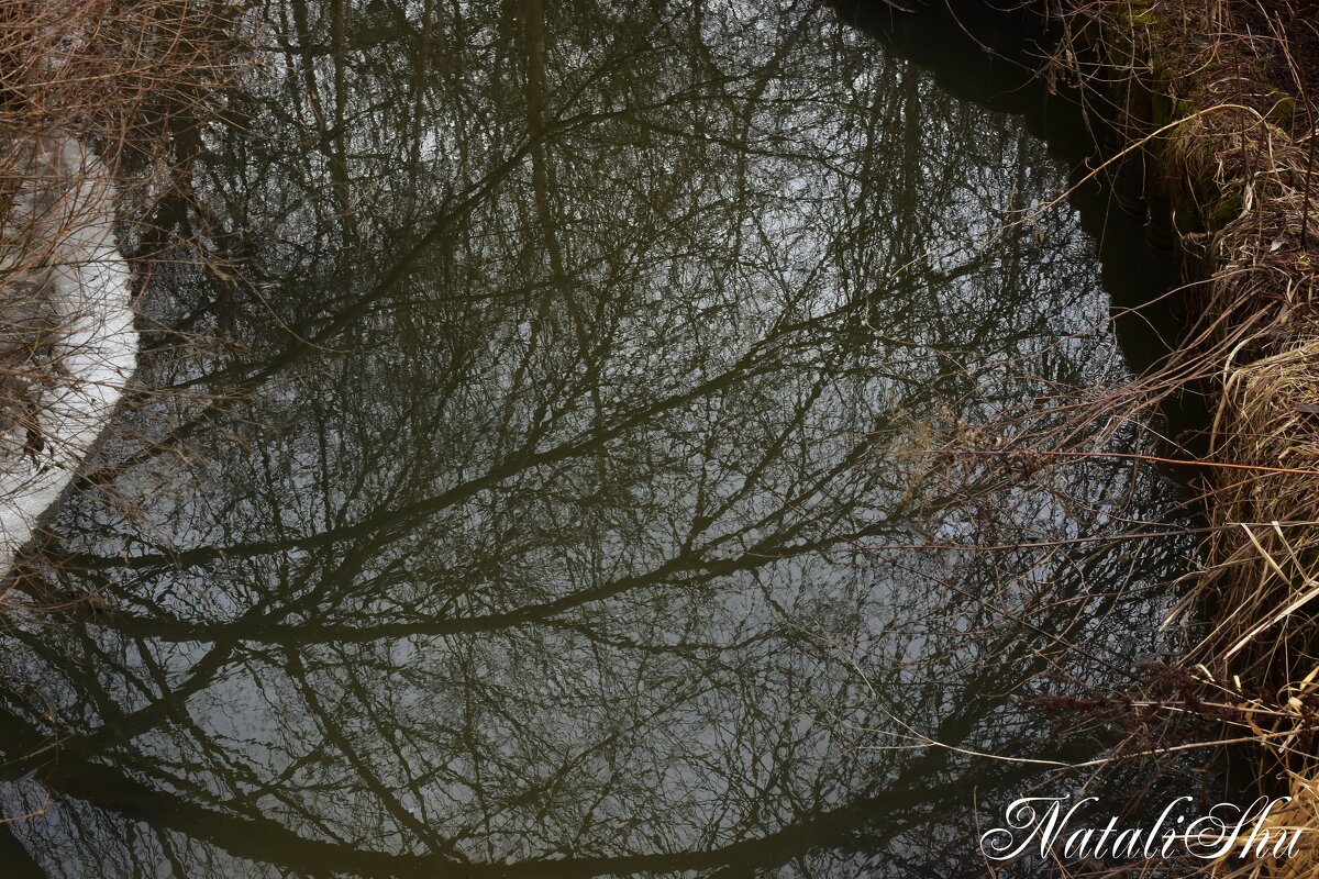 В омут. - Наталья Вязигина