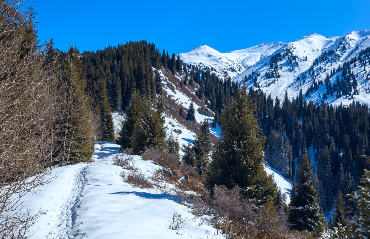 *** - Сергей Мурзин