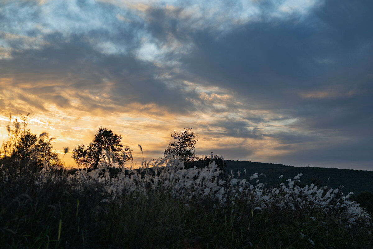 *** - Alexandr Khizhniak *** - Alexandr Khizhniak