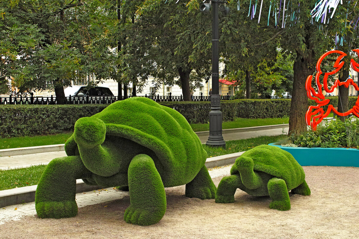 Черепахи - Игорь Белоногов Черепахи - Игорь Белоногов