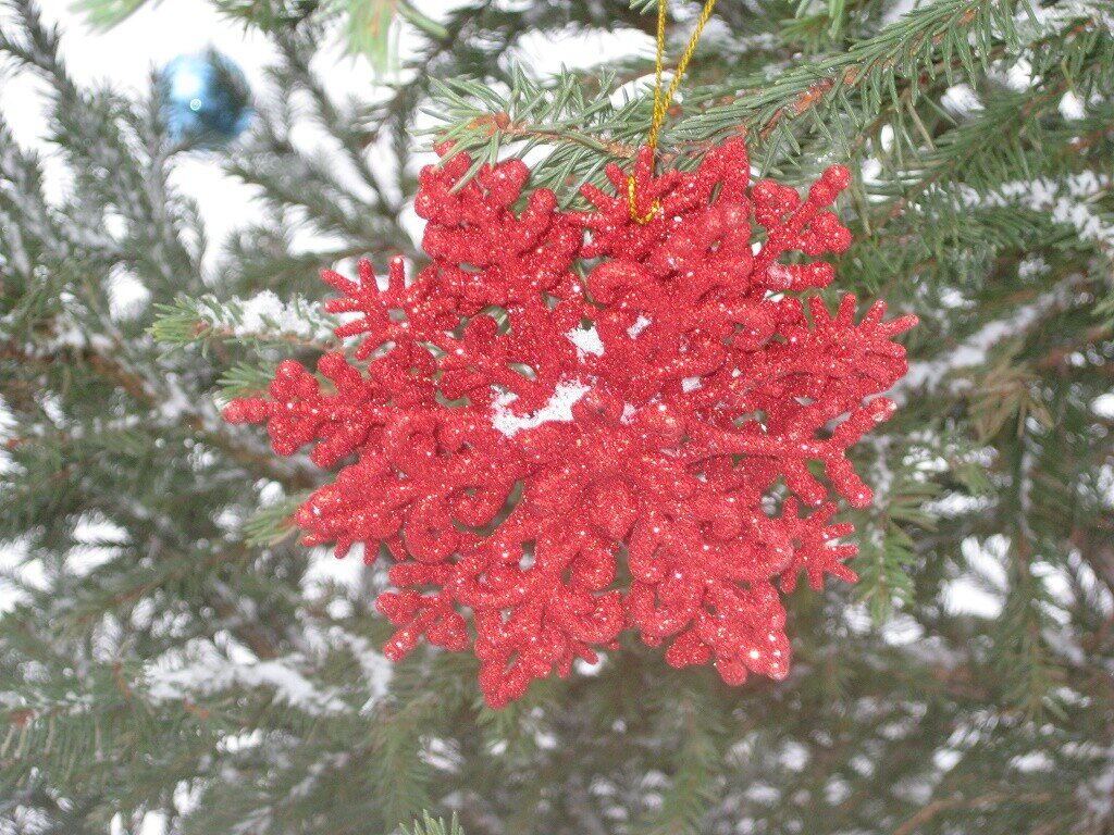Снежинка красная - Дмитрий Никитин Снежинка красная - Дмитрий Никитин